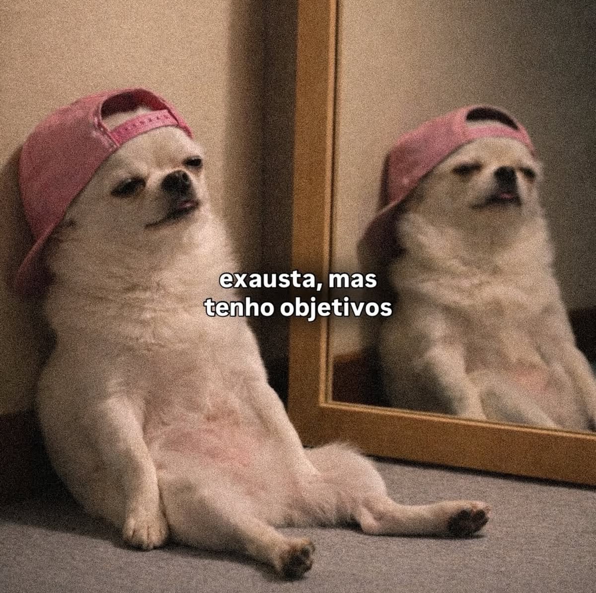 lubadguy's tweet photo. bom dia 

terça-feira ainda???? https://t.co/pBQaBoIiws