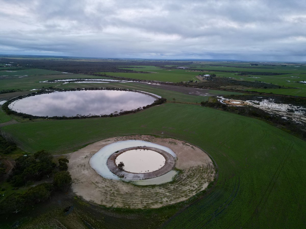 PiggottTash's tweet photo. Things are a bit damp on our farms, west of Esperance, after 140mls over a coupla days last week. Pete &amp; I were in NSW &amp; missed the action, but got regular updates from the kids on the farm. https://t.co/iY9jKaANbN