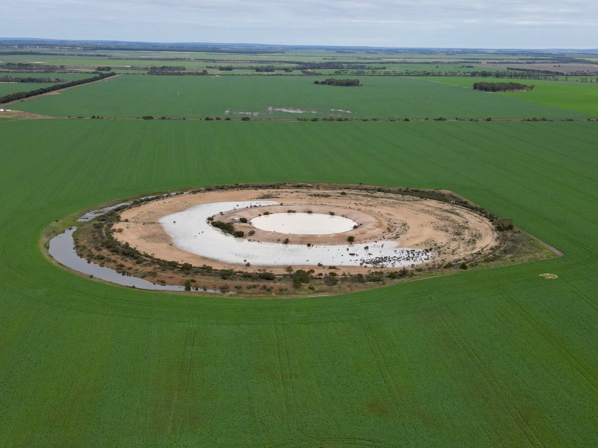 PiggottTash's tweet photo. Things are a bit damp on our farms, west of Esperance, after 140mls over a coupla days last week. Pete &amp; I were in NSW &amp; missed the action, but got regular updates from the kids on the farm. https://t.co/iY9jKaANbN