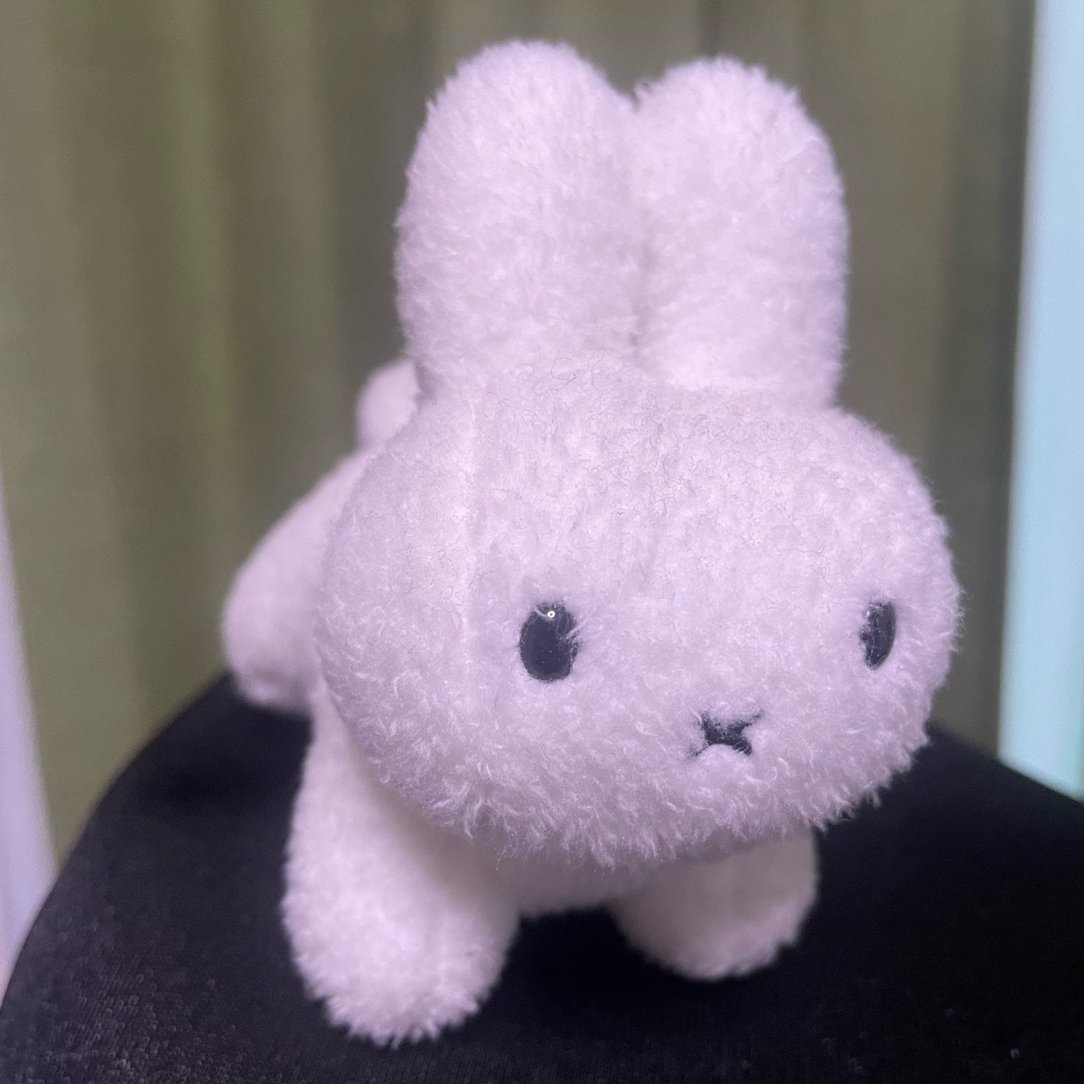 omungoringo's tweet photo. トクポ！！最近キングちゃんミッフィー投稿してたから膝に白うさぎ乗せて挑んでみました！キングちゃんの髪色ピンクブラウンだそうで、私も来週美容院だからお揃いにしたい😌今日も可愛すぎて幸せすぎてありがとう😭︎💕︎ #スターキングデリシャス https://t.co/zyGjutPvwc