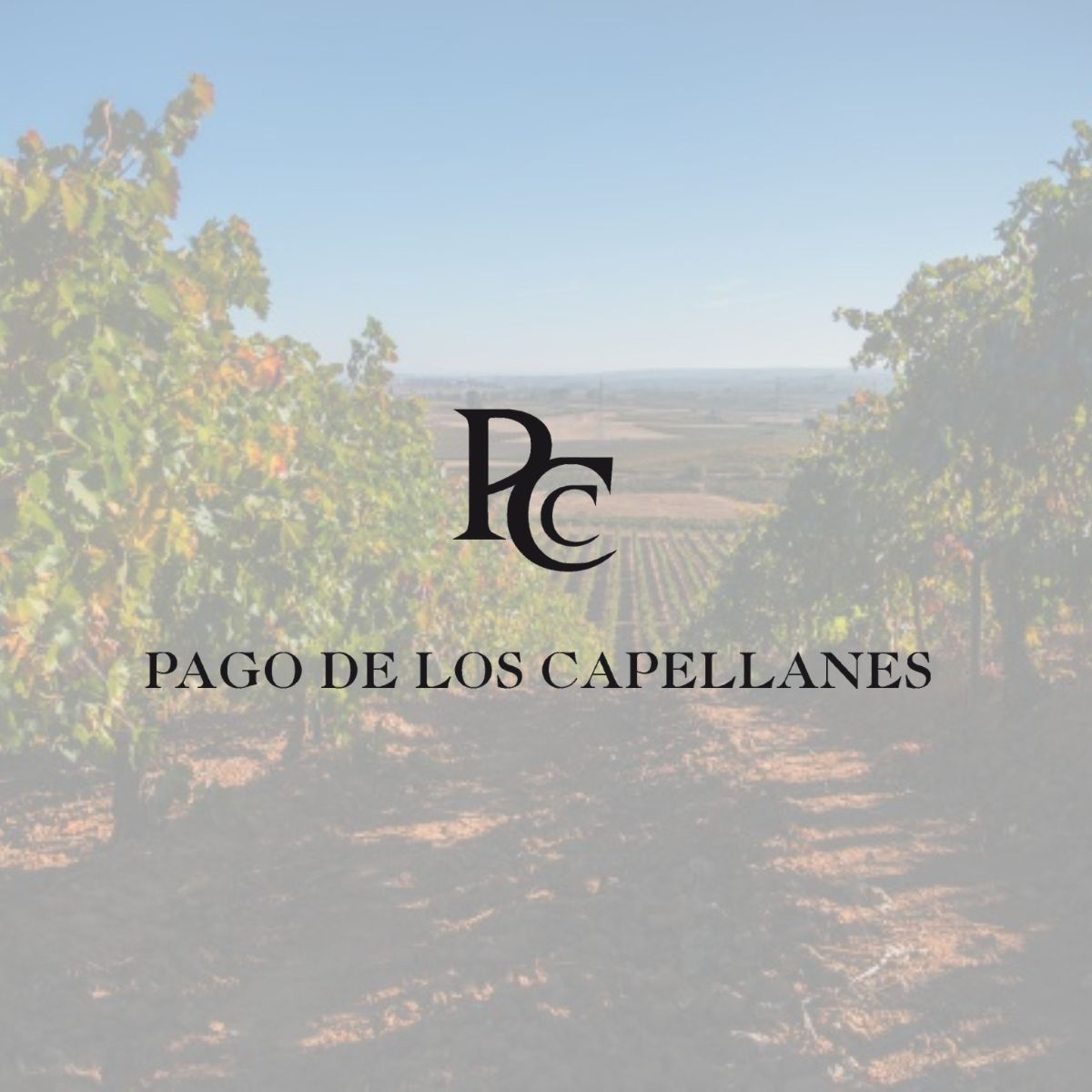 Vitartis's tweet photo. 🍷 ¡Hoy damos la bienvenida a #PagodelosCapellanes a #SociosVitartis!

Bodega de referencia en #RiberadelDuero, comprometida con la #calidad, la excelencia y la mejora continua.

🤝 Seguimos impulsando una #IndustriaAlimentaria más fuerte y competitiva. https://t.co/8phIzM6Ek2