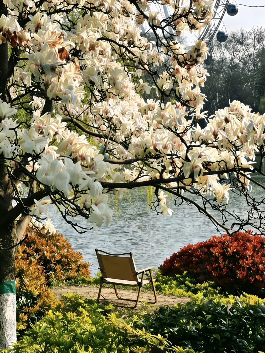 HefeiChina's tweet photo. Spring flowers, summer shade, autumn colors, winter snowโXiaoyaojin Park is a year-round masterpiece! ๐ฟโจ Summer greens are peaking now. Come find your season here in #Hefei! #VisitHefei #ChinaTravel https://t.co/S7iV7wSTN7