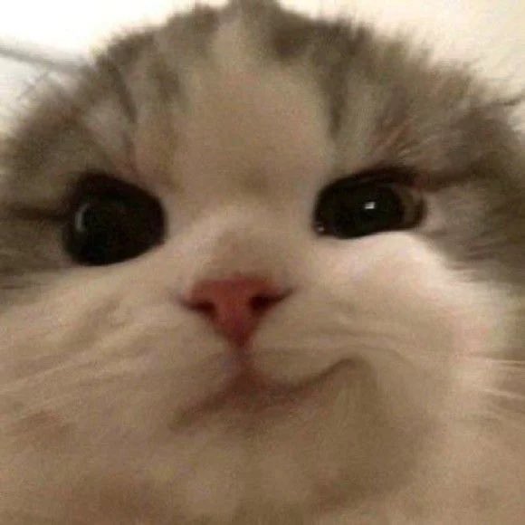 zar0201's tweet photo. https://t.co/s5yDcFg60D