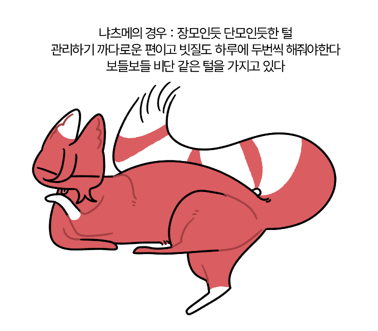 S2_kaosom's tweet photo. 그루밍 스위치 편 https://t.co/bgSmPBgMt4