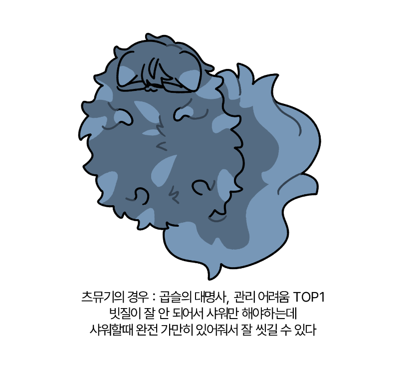 S2_kaosom's tweet photo. 그루밍 스위치 편 https://t.co/bgSmPBgMt4