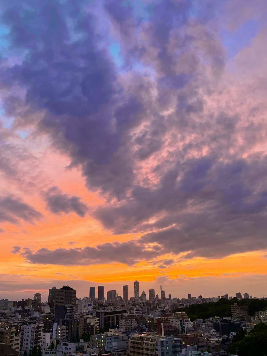 DIntroductions1's tweet photo. #イマソラ #相互フォロー
#写真好きな人と繋がりたい
#ファインダー越しの私の世界

穏やかな夏の雲空 🌆 https://t.co/zLdeWN1mN9