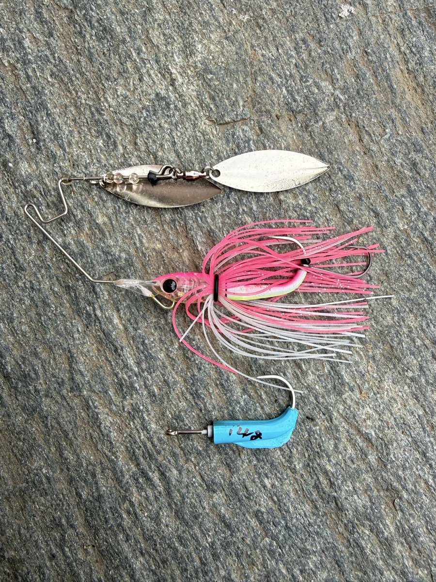 BUTZ (@BUTZbassfishing) / Posts / X BUTZ (@BUTZbassfishing) / Posts / X