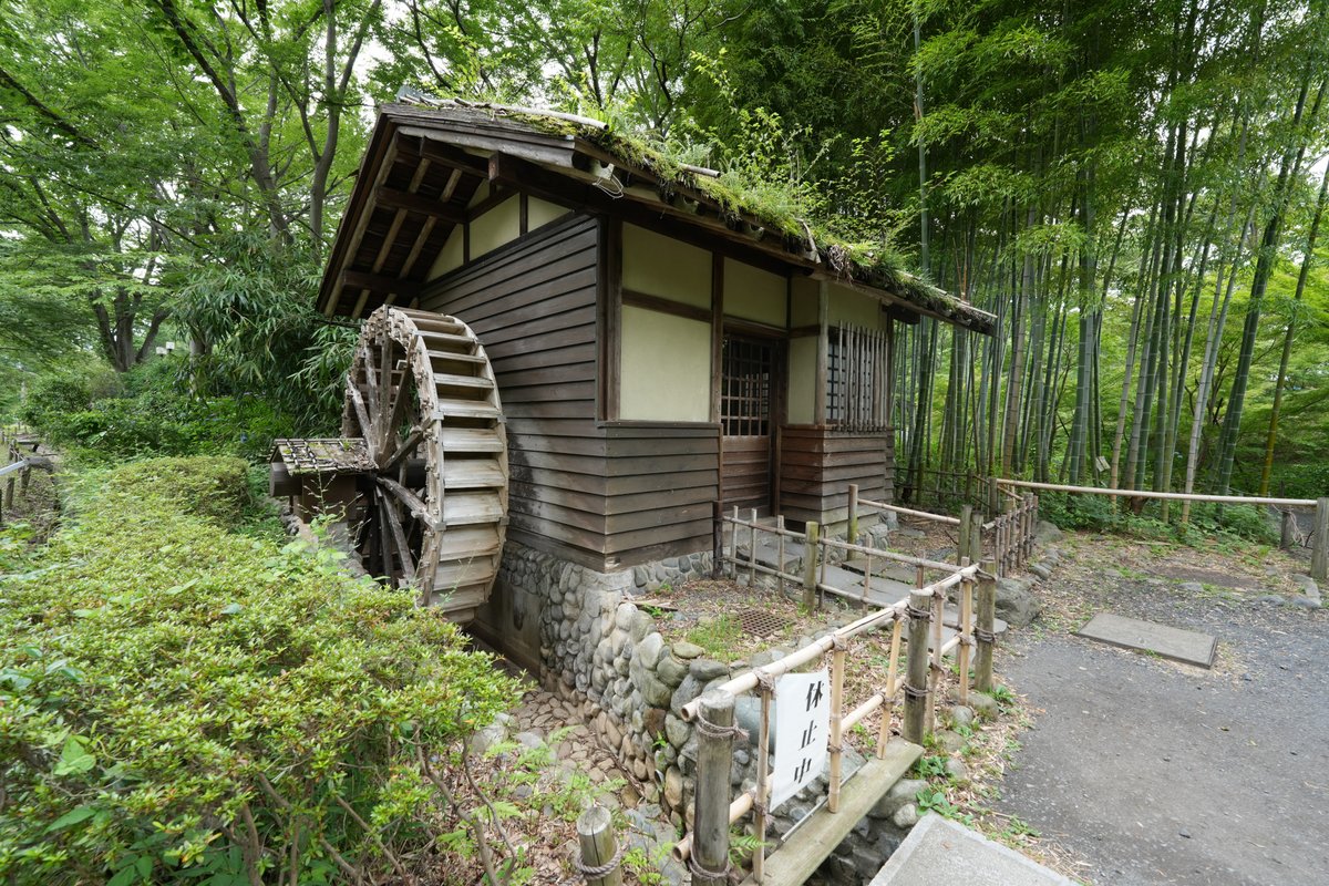 Hello3755221's tweet photo. 府中市郷土の森博物館へ
緑の中に佇む明治の郵便局、竹林のそばの水車、
古民家に入れば、陽だまりが囲炉裏の部屋を照らしています
大正レトロな旧府中町役場庁舎など
タイムスリップしたような歴史を感じる散歩道でした
#府中市郷土の森博物館 https://t.co/9WsHWgu2ir