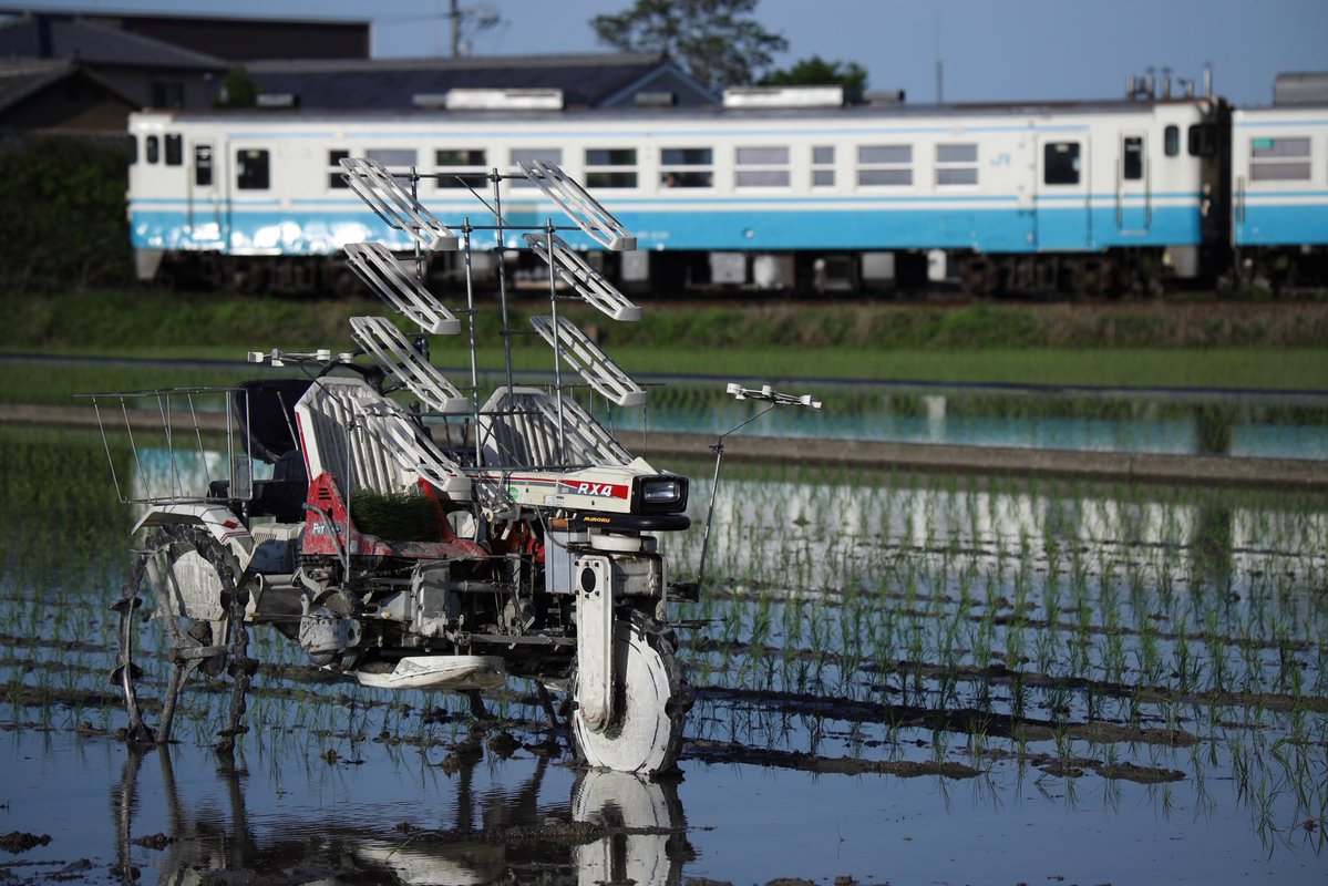 PHT_N2000series's tweet photo. #2026年自分が選ぶ今年上半期の4枚
相変わらず地元かライブのついでに撮ったのばっかり
久しぶりに撮り鉄1本で遠出したいんだけどなぁ https://t.co/qsHEaekPr9