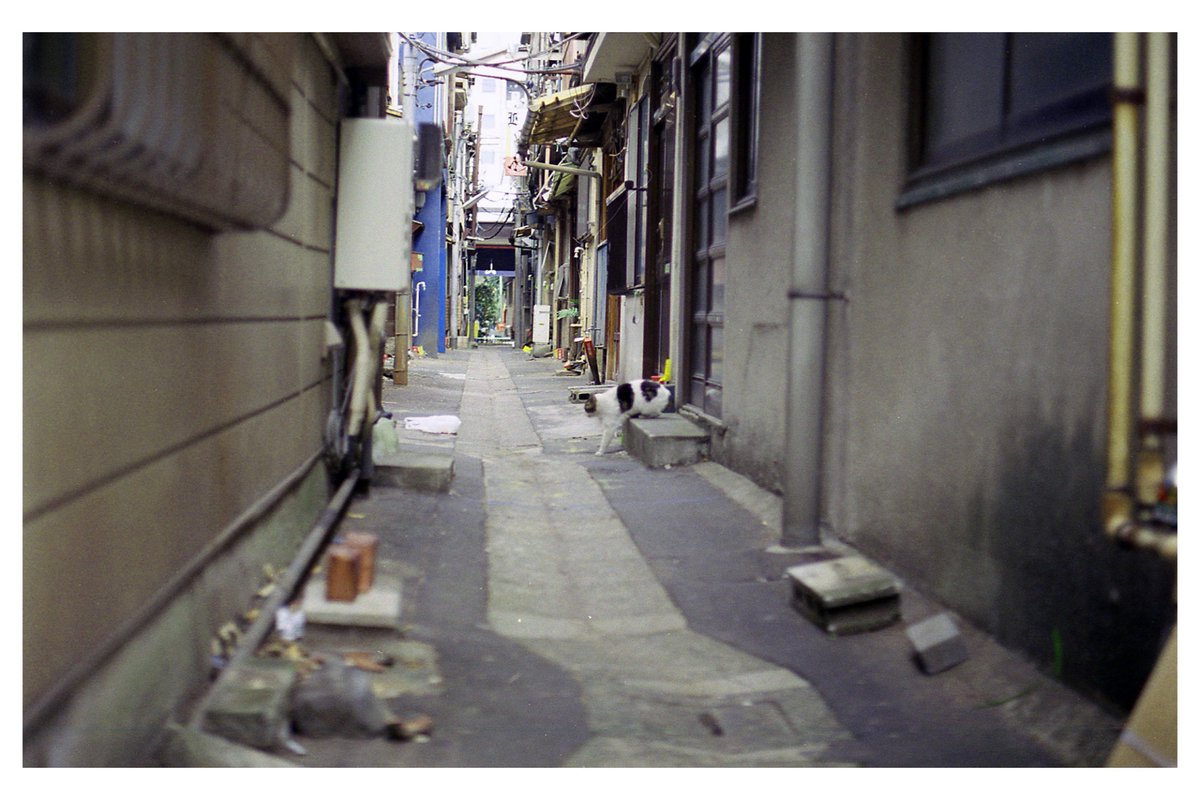 YOU_tanko's tweet photo. Trip on Memories
2017.02 月島
PENTAX SP with EBC FUJINON 1:1,8/55 / Fujicolor100
#FUJINON
#Filmphotography
#snapphotography
#streetphotography https://t.co/zyvMjYur7P