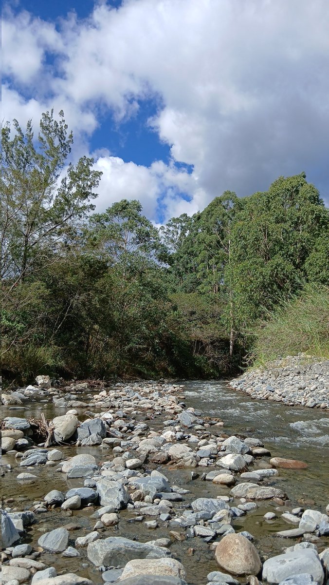 sirdanielknight's tweet photo. You can't step twice into the same river, though it remains a river.. https://t.co/CMoLl7NPur