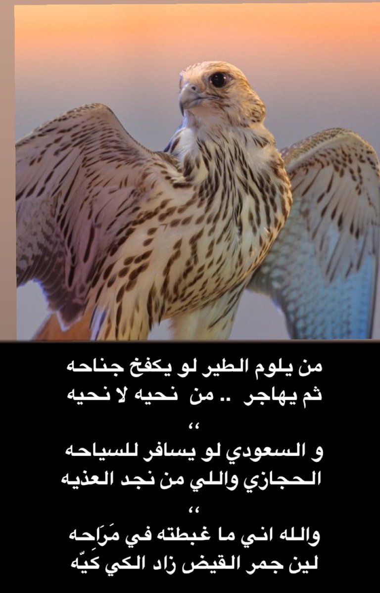666_alfars's tweet photo. https://t.co/Hg49ObSM1x