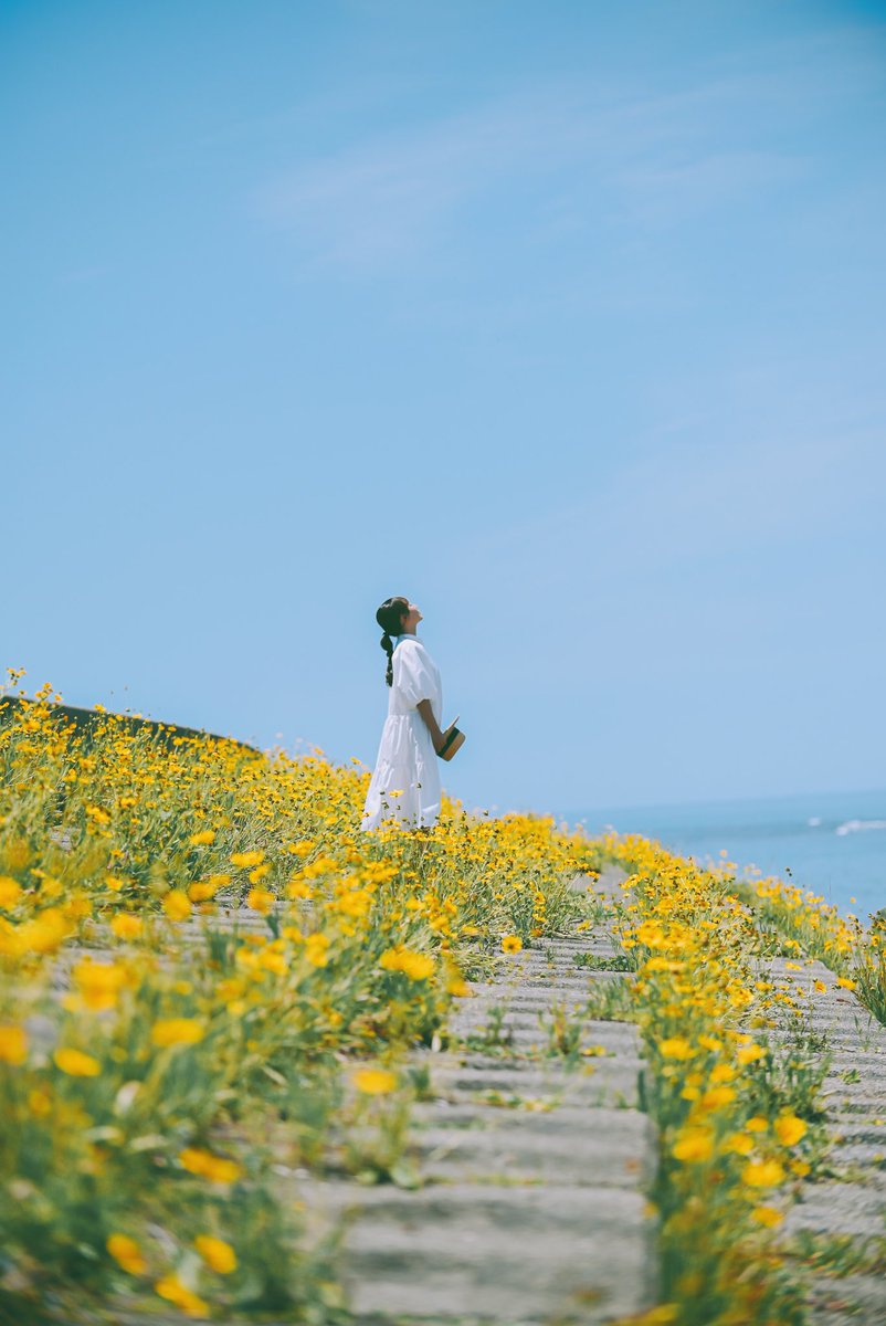 sty_830's tweet photo. 出雲崎海岸 https://t.co/b0XHTXTeoE