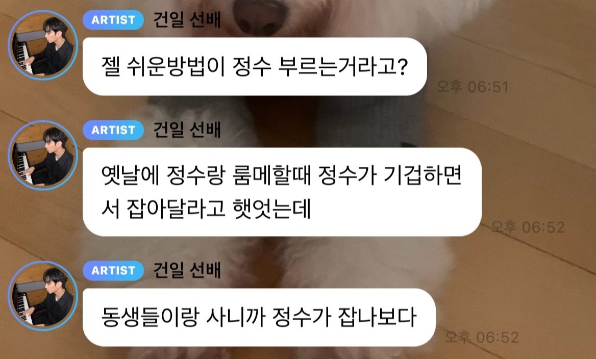 BBD_666's tweet photo. 건일이 러브버그 얘기하는데 정수 건일이랑 룸메이던 데뷔초 시절엔 형아한테 기겁하면서 잡아달라고 했었나봄 ㅋㅋ ㅋ 

형아 역할 : 벌레 잡기 https://t.co/DGKObdz0Ky