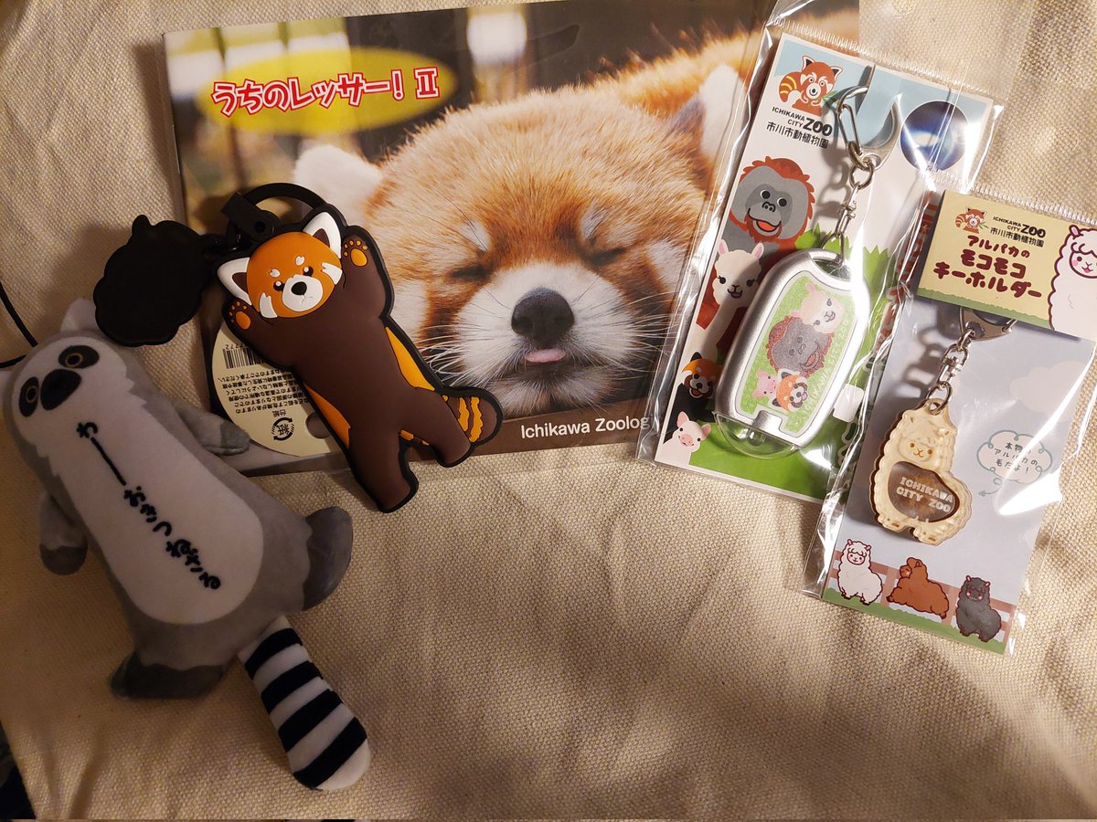 osaru_chan's tweet photo. ニホンザル物は何もなく(ぬいぐるみは売り切れの表示あり)、それでもなんだかんだ買ってしまった。園的にはレッサーパンダがイチ押しなのかな。アルパカの毛が入ったキーホルダー一瞬で気に入ってお買い上げ。

※ぬいぐるみは高尾山さる園のくじ引き4等と同じかも🐵 https://t.co/Z92KtLPa4n