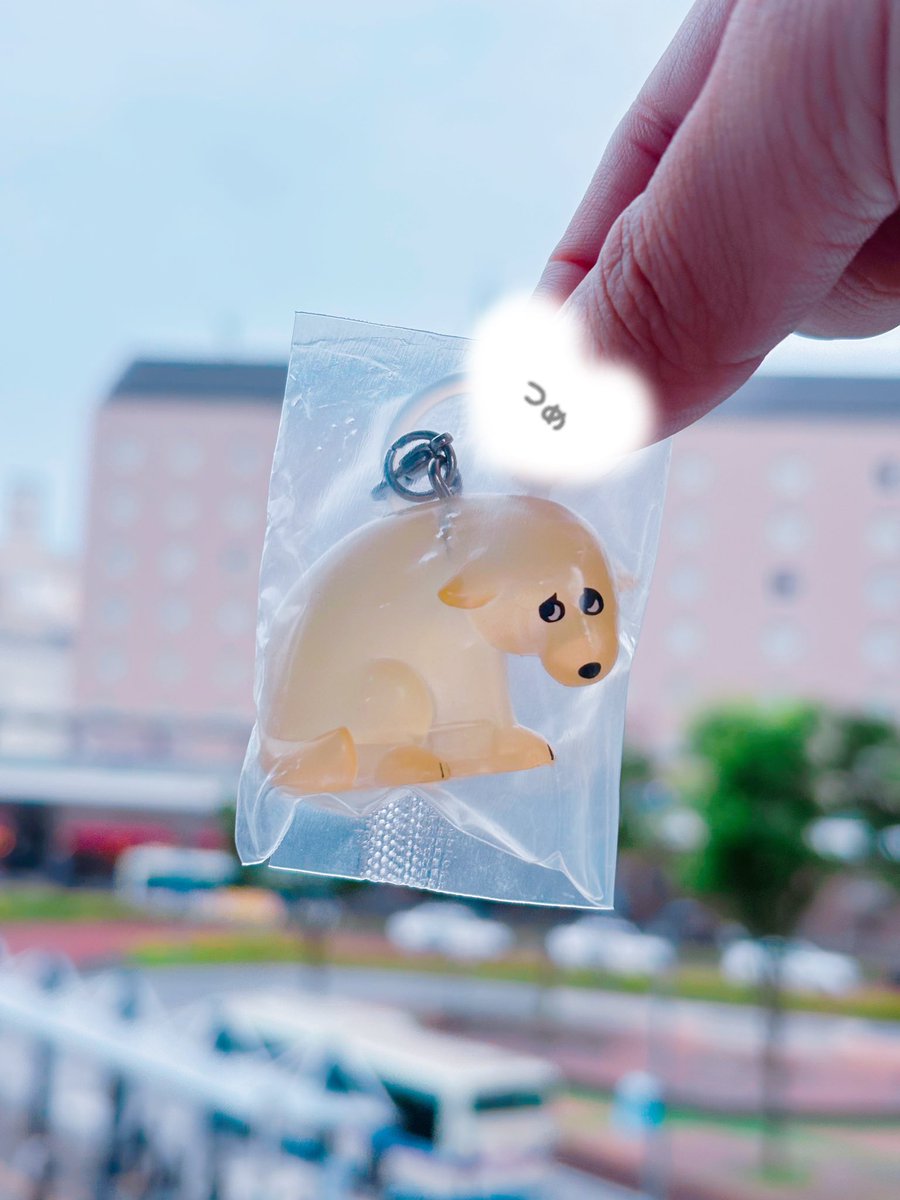 shadow_flat's tweet photo. 怒られて情けない顔してる犬のめじるし https://t.co/urJq87Ws4W