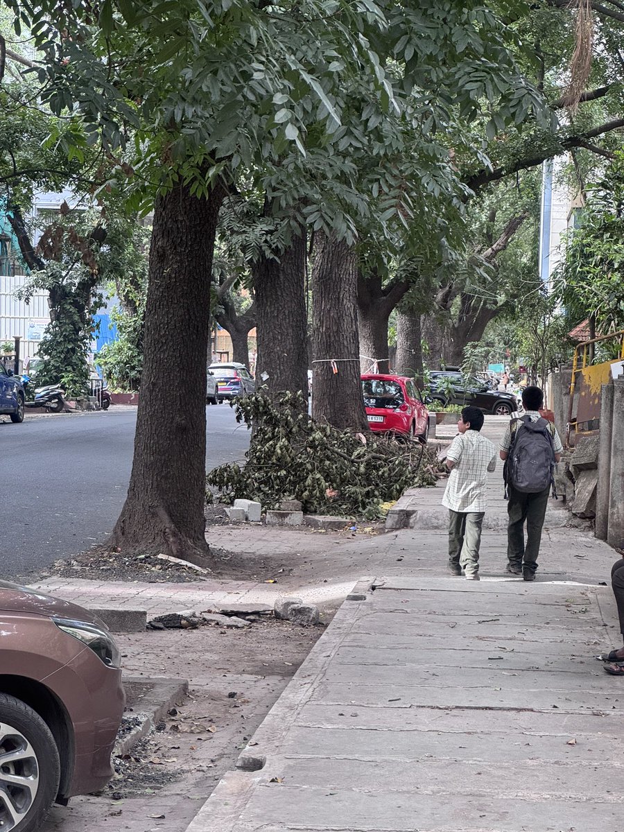 PathWatchIndia's tweet photo. Dear @gba_bcac @GBA_office  
You trim trees and leave it unattended for days together 
Most intended breeding ground for mosquitoes  and rodents 
When will you clear this 
Reported a civic issue via PathWatch 🏙️
https://t.co/84eQ6FxsVw
https://t.co/6t1Mgo5tJg https://t.co/uOOxORr6OL