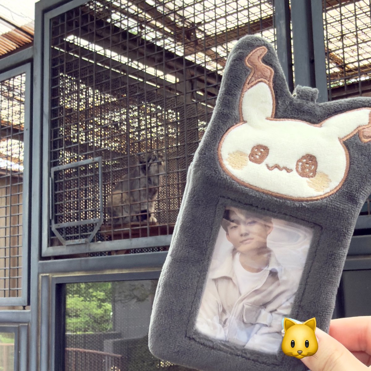 ke_itsyou's tweet photo. 마눌고양이 덕질 가득했던 고베 여행😽🇯🇵✨ https://t.co/leAYKmNexu