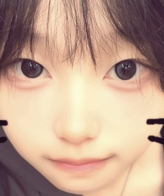 bacquanpal's tweet photo. 고앵이 입양해가 https://t.co/lVLj2XFEAO