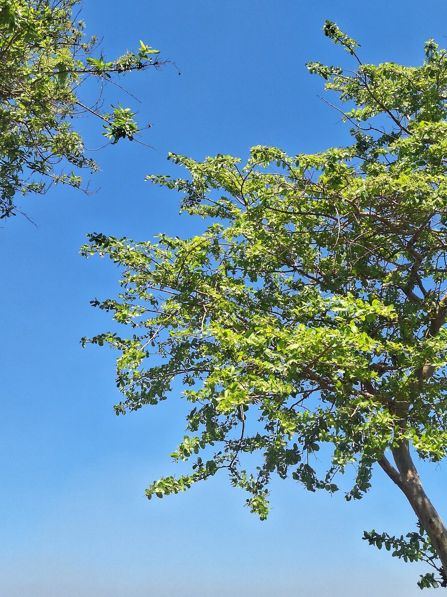 flop499's tweet photo. I love how I spot the world. https://t.co/cEZpqL85SK