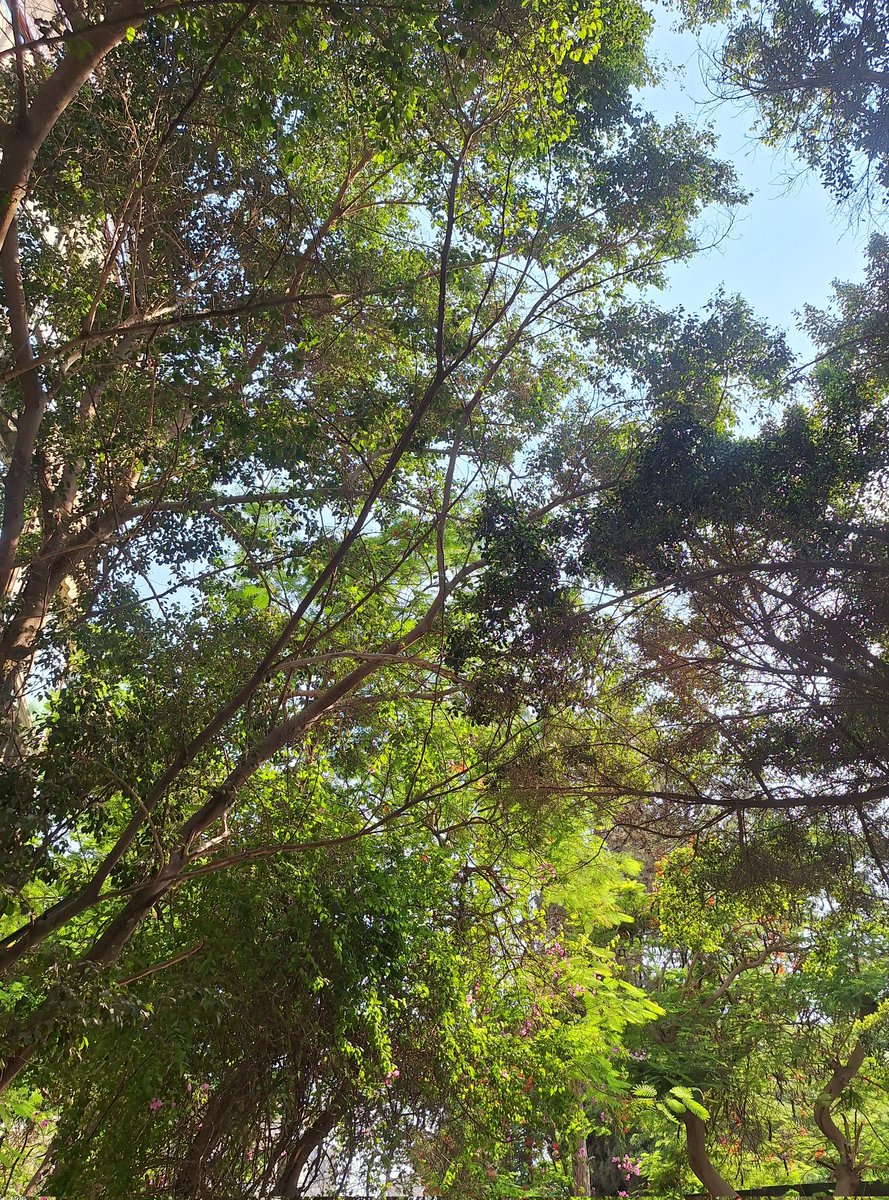 flop499's tweet photo. I love how I spot the world. https://t.co/cEZpqL85SK