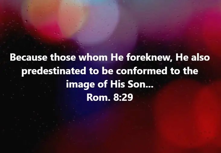 joewstoll's tweet photo. In 2 Corinthians 3:12-18, Paul suggests that because of Jesus, we can encounter God’s glory like Moses did. We are “transformed into his image with ever-increasing glory” (v. 18)—reflecting Him more and more. As we spend time with God, our faces will “shine” with His love. https://t.co/vkqwEhP2bn