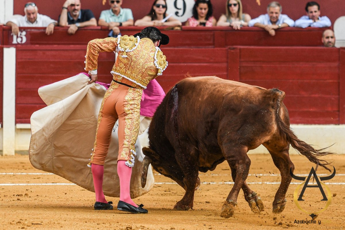 Azabache_y_Oro's tweet photo. @juanortegapr en Torrejón de Ardoz https://t.co/Qy3h4xMZVf