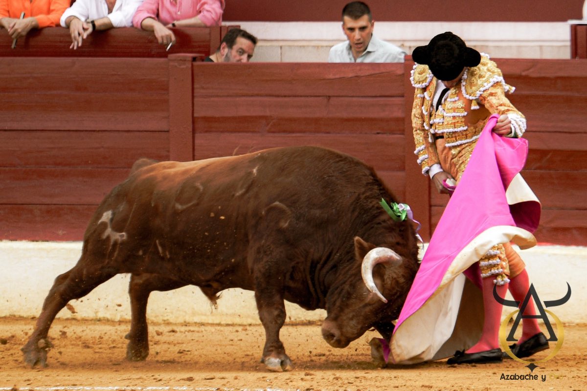 Azabache_y_Oro's tweet photo. @juanortegapr en Torrejón de Ardoz https://t.co/Qy3h4xMZVf