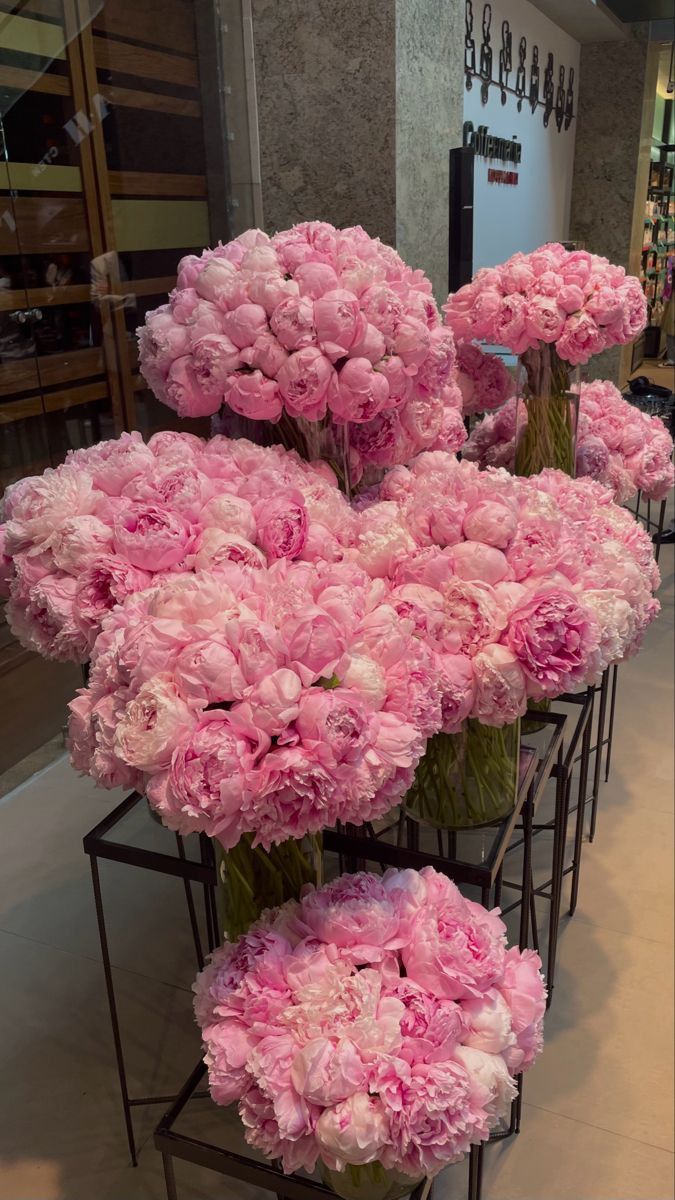 TheBeauty001's tweet photo. https://t.co/gkUSxYJh8p