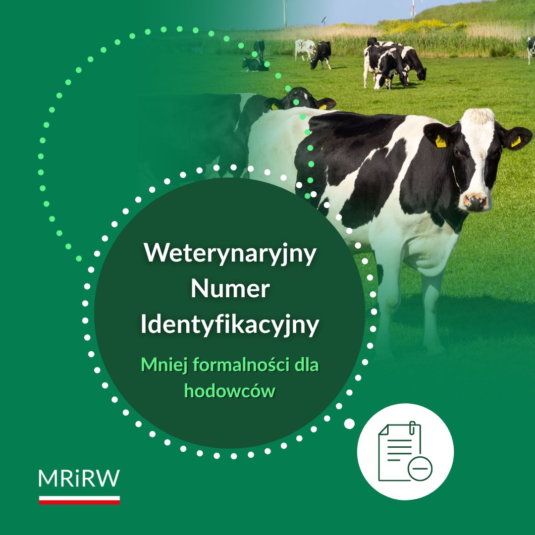 MRiRW_GOV_PL's tweet photo. Hodowcy zwierząt nie będą musieli ponownie składać części dokumentów potrzebnych do uzyskania Weterynaryjnego Numeru Identyfikacyjnego (WNI). Jeżeli Powiatowy Lekarz Weterynarii dysponuje informacjami niezbędnymi do nadania numeru, wyda decyzję z urzędu. Wykorzysta do tego również dane dostępne w bazie ARiMR.

To kolejny etap synchronizacji rejestrów prowadzonych przez Inspekcję Weterynaryjną i ARiMR. Szczegóły w komunikacie 👉 https://t.co/uY8zxBY8kD