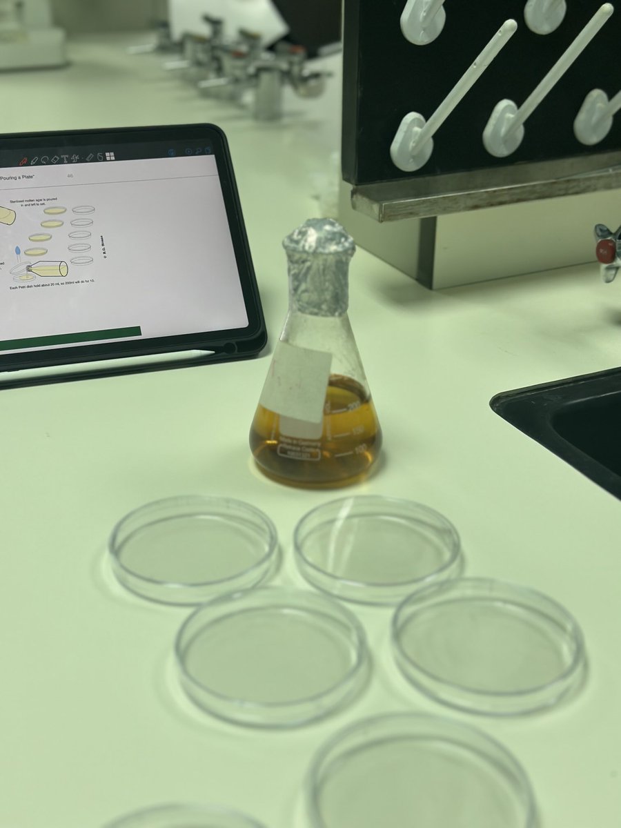 Lamy434's tweet photo. تحضير الأوساط الغذائية (Nutrient Agar) وصَب أطباق بتري باستخدام "التقنية المعقمة"  لتهيئة البيئة المثالية لاستزراع الميكروبات ودراستها 🦠. https://t.co/Qjzdt2XE5D