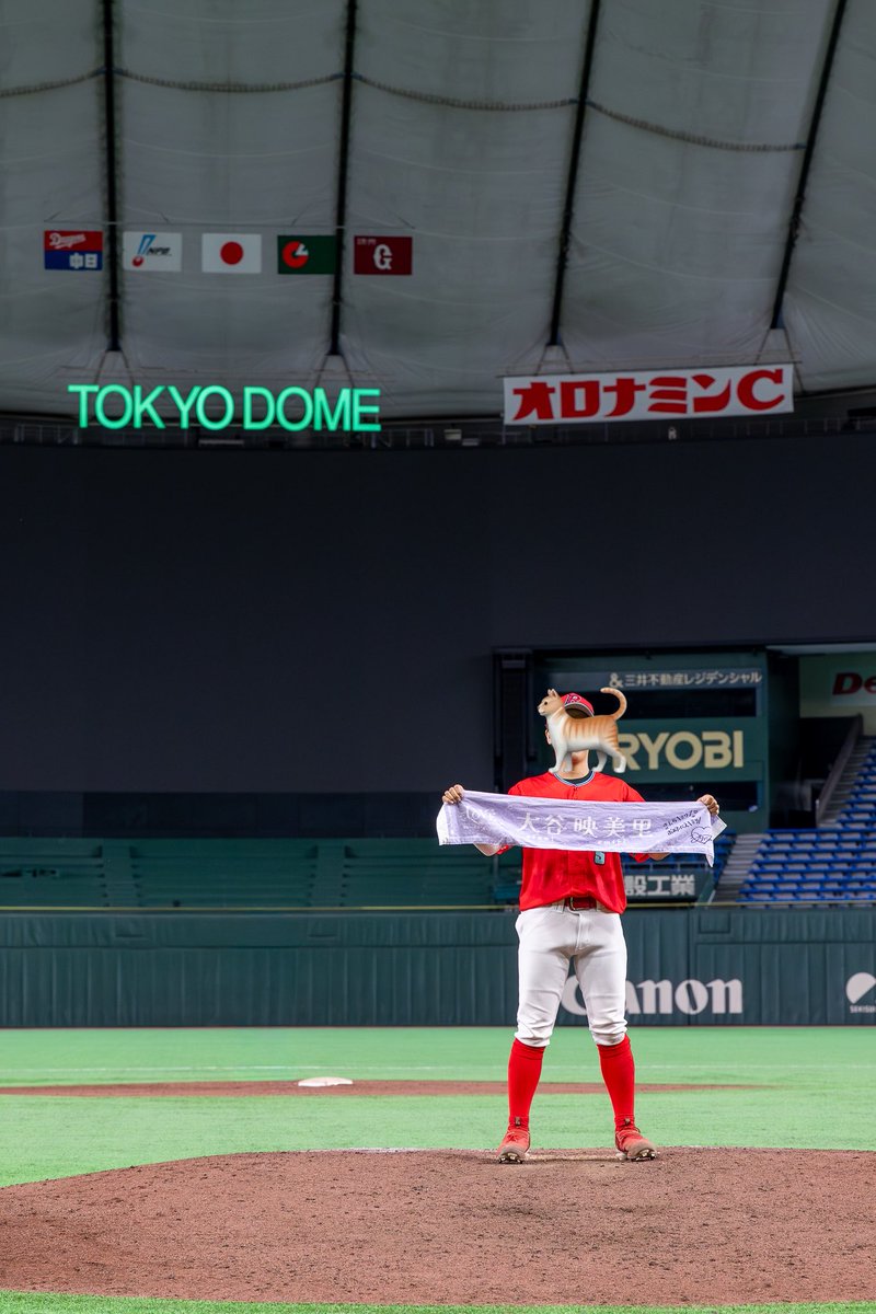 2row310's tweet photo. 東京ドーム、楽しみだな〜 https://t.co/erDcis4Jab