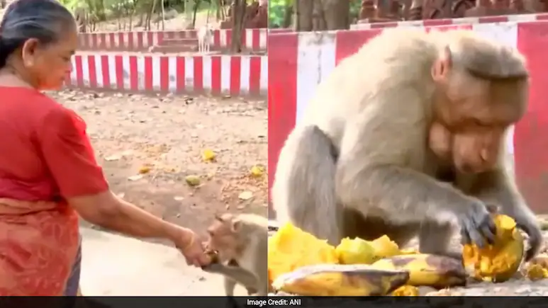 NDTV tweet media