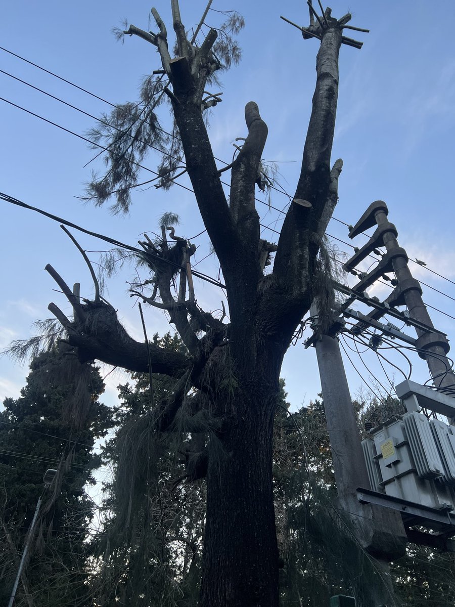 Alejandro19692's tweet photo. @jaimemendezh @Edenor @MuniSanMiguelOK Bella Vista Ciudad del árbol?? Ya lo destrozaron y quieren seguir https://t.co/4nhiOzQ41E