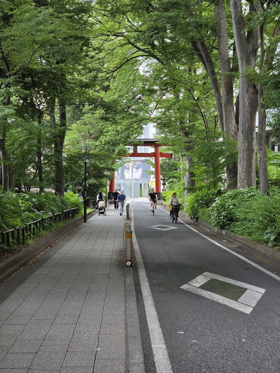 umeboshi634's tweet photo. 久し振りに電車でお出掛け。
東武アーバンパークラインの大宮公園駅で下車して、大宮公園、氷川神社、氷川参道と木陰の中を通りコクーンシティまで散策。
大宮公園には動物園があって熊も居たのでじっくり見てみましたが真っ黒ですね。80センチ位の大きさでした

#大宮公園
#氷川神社
#コクーンシティ https://t.co/qZALiE56kH