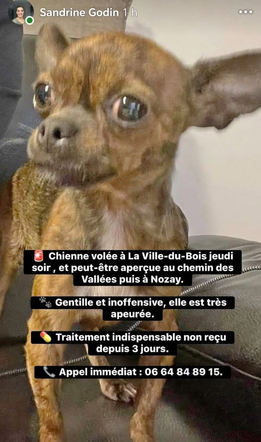 BRINDILLE851's tweet photo. Amis qui aiment Fondation Brigitte Bardot
 ·Francine Desmaret 
En région Parisienne s'il vous plaît ... Faites encore tourner ... https://t.co/sKCYGkOysC