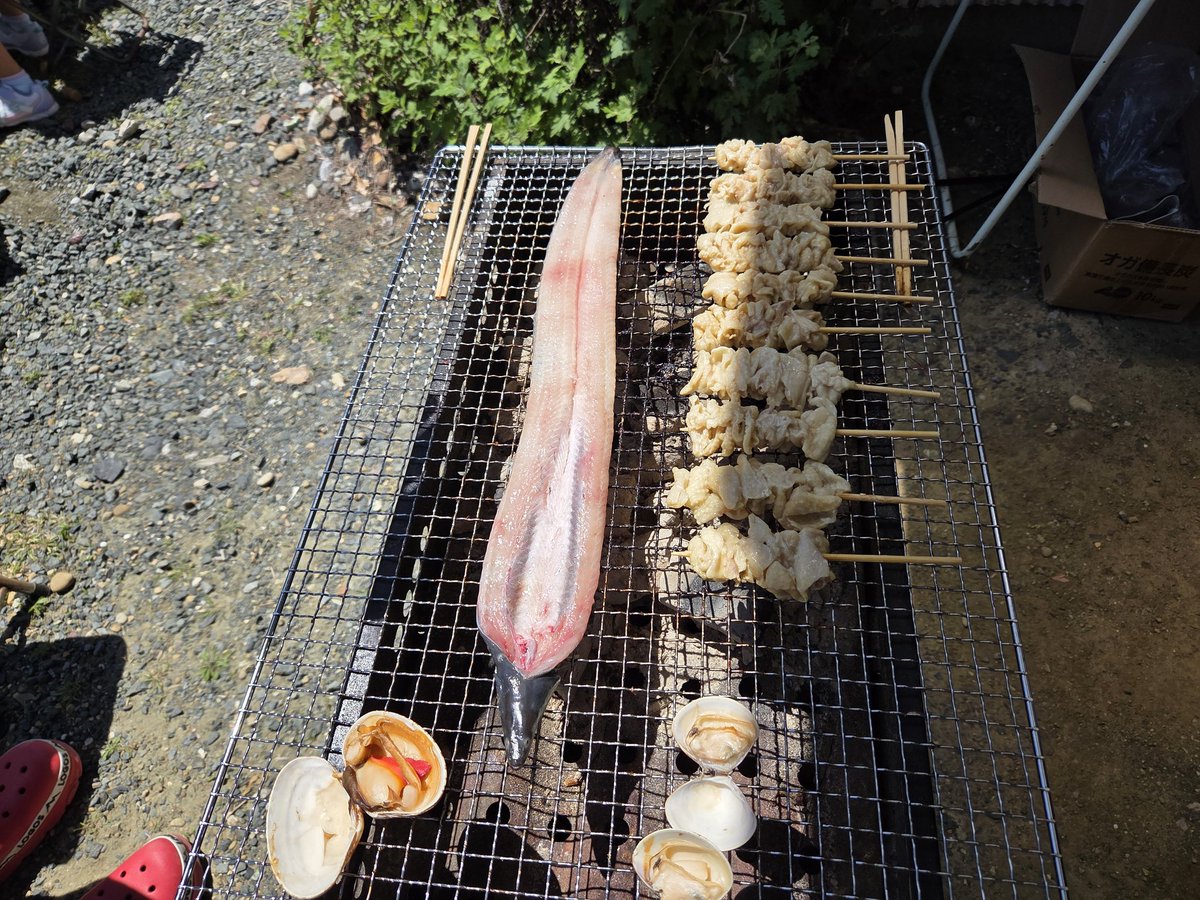 441chatot's tweet photo. 写真は載せられないんだが、今日は三女の保育参観に行ってきました😄
とっても楽しかったです❗
自分は子供に好かれる体質だと自他共に認められているので、いつの間にか下の学年の子供たちとも一緒になって水遊びしてました(笑)
やっぱ2～3歳の子達は天使だね🥹何やっても可愛い❗ https://t.co/AEv8ooEkZt