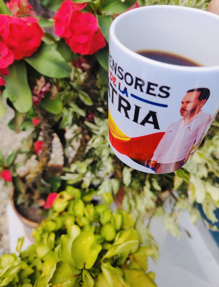 johanna06B's tweet photo. Café con sabor a triunfo.

Buenos días, hoy vuelve a ganar Colombia.🇨🇴 🥳☀️☕️🤎 https://t.co/cbjlVWawsC