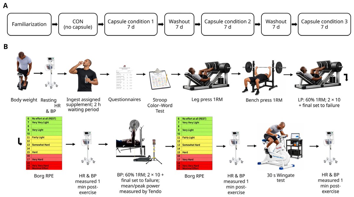 Nutrients_MDPI's tweet photo. 🫐🏋️ Can #blackcurrant extract boost #strength and #cognition?

 After 7 days, low and high doses improved selected resistance and Stroop outcomes, but not Wingate performance. 🧠⚡

by Majid S. Koozehchian et al.

🔗https://t.co/BGWgQ4q83O https://t.co/nchttAgoVL