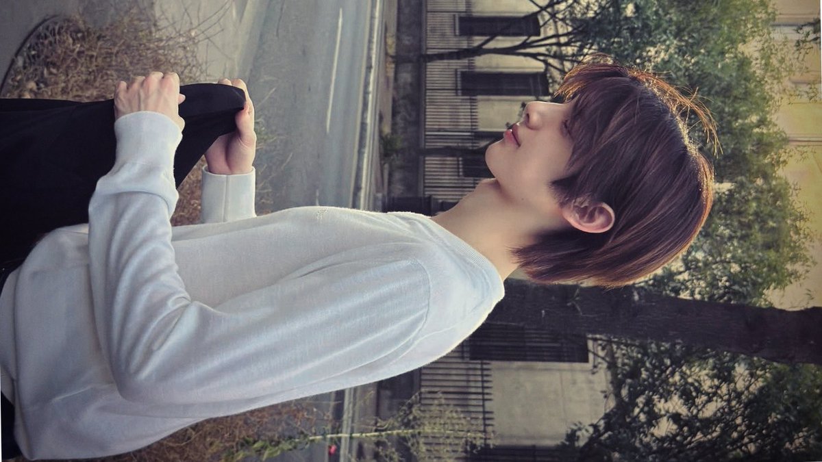 ( ˙𐃷˙ ) tweet media