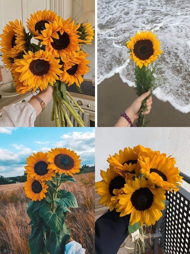 sunflowerchives's tweet photo. Tag someone who like sunflowers🌻 https://t.co/IdBiJFo5Fo