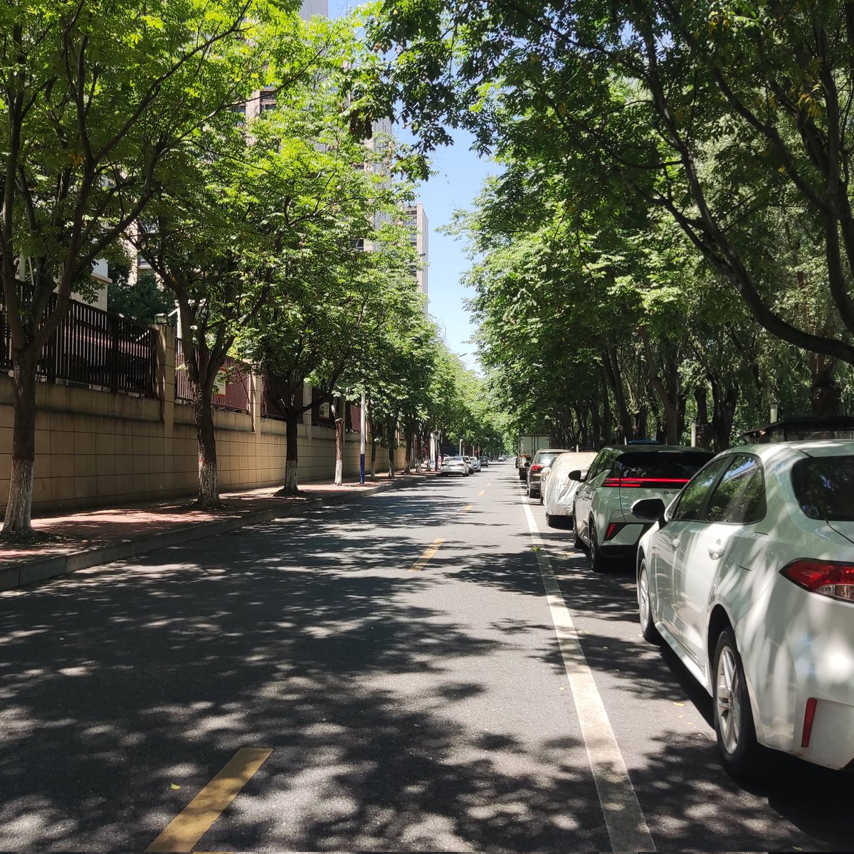 NeCoQRC's tweet photo. The street in summer https://t.co/eJNpO9oymQ