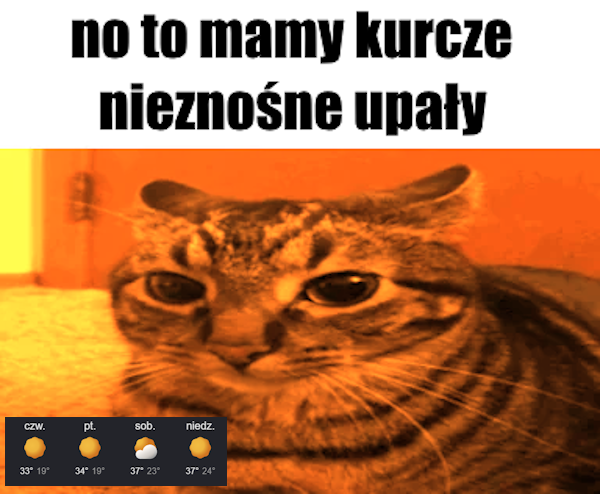 x_zielu's tweet photo. https://t.co/rMps0Pyi5H