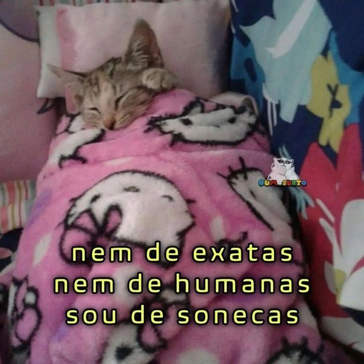 Shitpost só que de verdade tweet media