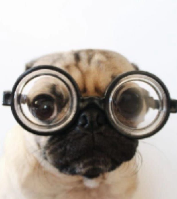 tchalametdoll's tweet photo. eu quando https://t.co/GcUXm44WiH
