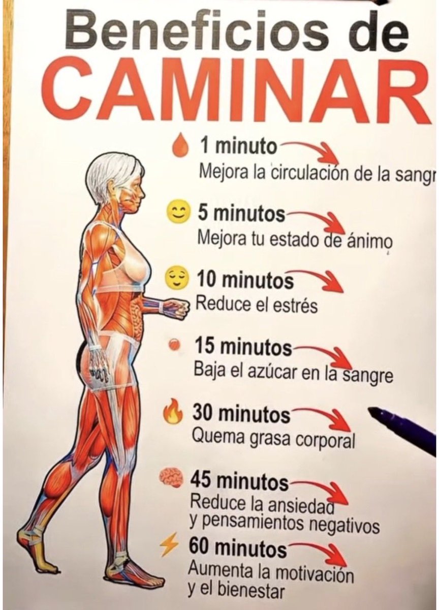 SusyMor2's tweet photo. Beneficios de caminar 🚶🏻‍♀️ ✨ https://t.co/xjLfuClCqg