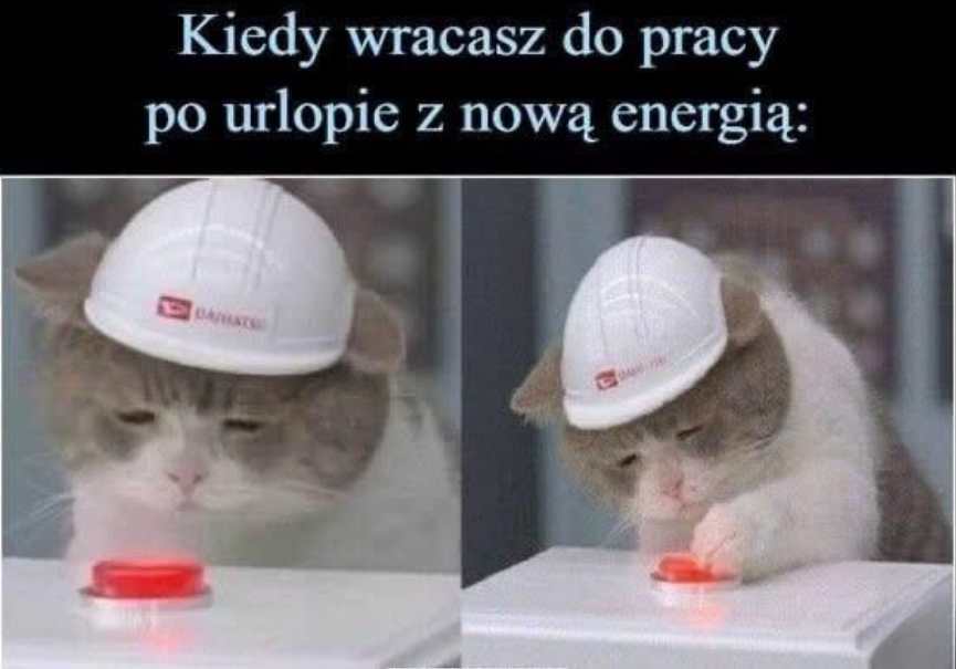 Mikołaj Kędzierski tweet media