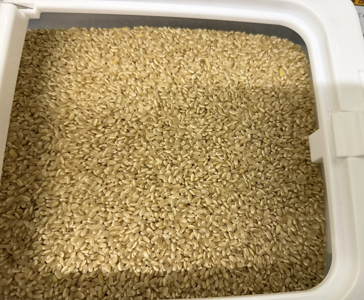 HIR02424's tweet photo. おうちのお米が無くなったので精米〜

お客さん用は上白米
おうちの分は7部つき〜

その後はリールの仕上げ〜

後は試投すれば完了〜🫡 https://t.co/zz3NkLyZIG