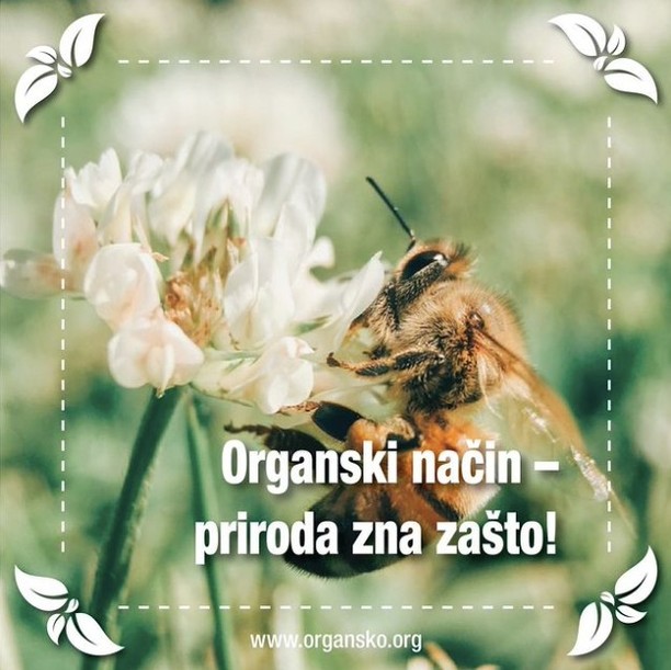 organsko's tweet photo. U osnovi organske polјoprivrede je briga o prirodi kako bi priroda mogla da brine o nama. Da li ste znali da su organska hrana i polјoprivreda takođe sjajni za prirodu i divlјe životinje? Više u tekstu na https://t.co/XIivudu6HQ
.
.
.
#organsko #organic #organicfood #zdravahrana https://t.co/u6591aWg5A