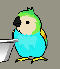 it52me's tweet photo. Parrot https://t.co/RdWg4atnu8
